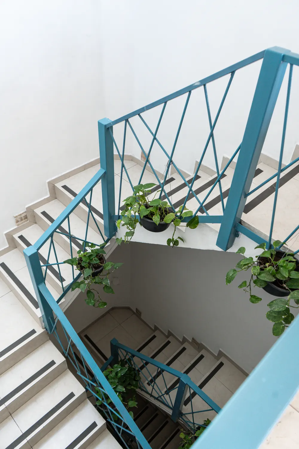 Escaleras con barandal azul y plantas colgantes